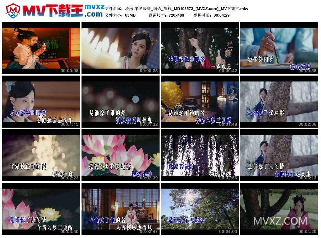 段彤-半冬暖情_国语_流行_MD103572